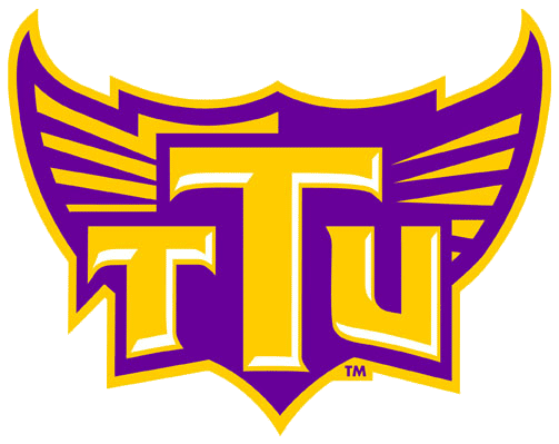 Tennessee Tech Golden Eagles 2006-Pres Alternate Logo v8 diy iron on heat transfer
